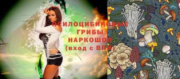 МДПВ Михайловка