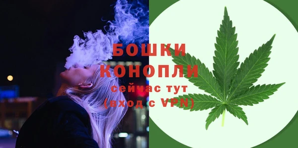 PSILOCYBIN Бугульма