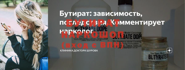 индика Бронницы