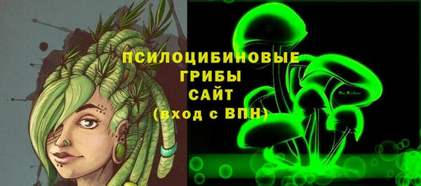 индика Бронницы