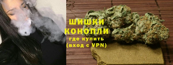 гидра Надым