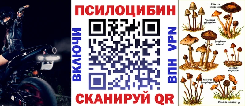 Галлюциногенные грибы Cubensis Сосновка