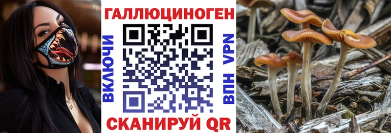 Псилоцибиновые грибы мицелий  Сосновка 